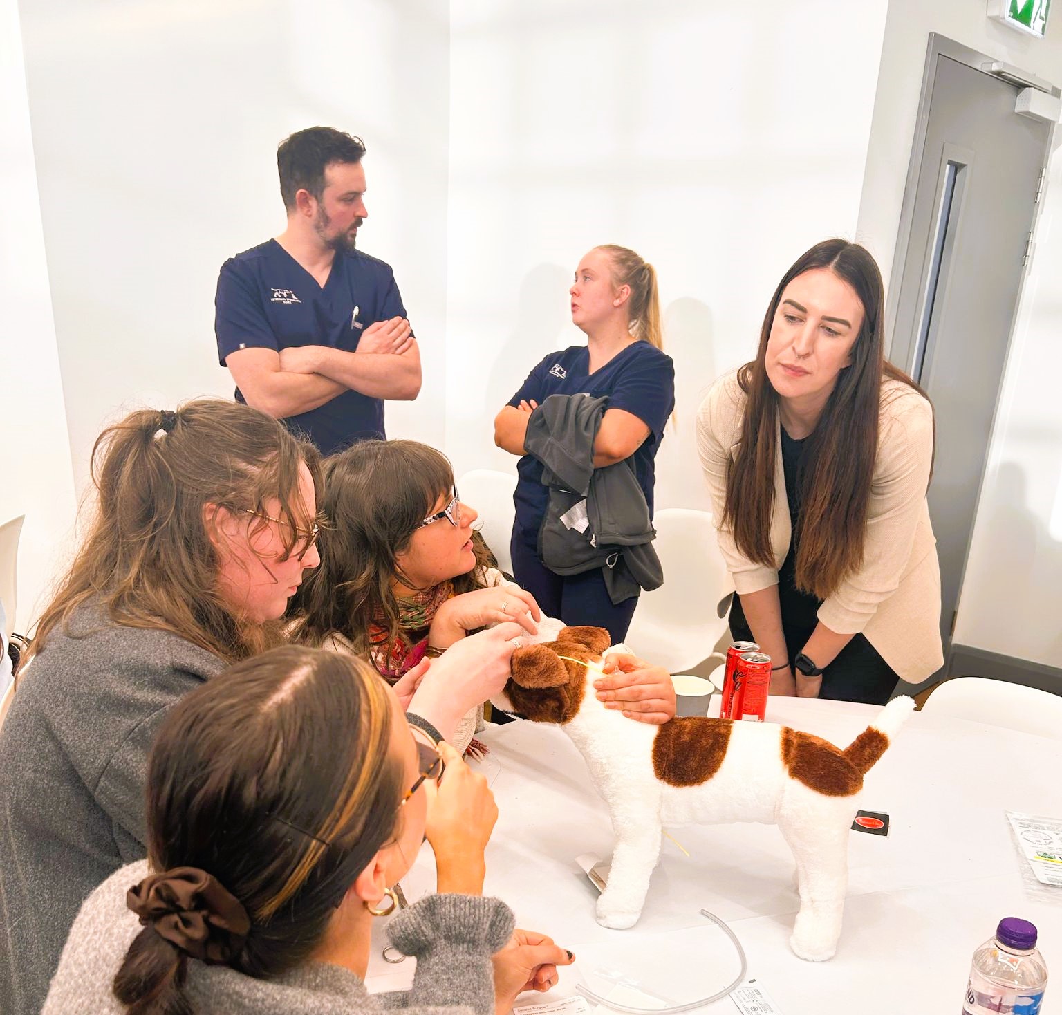 A group of trainee nurses at a table examine a dummy dog