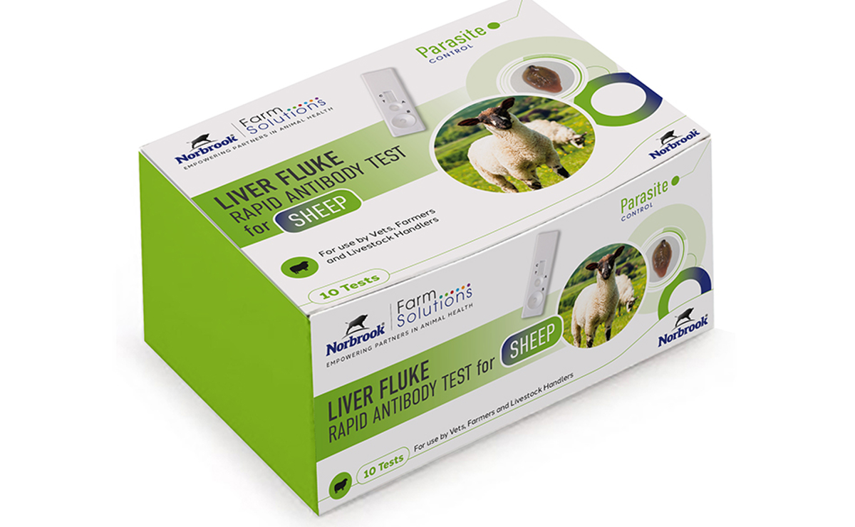 Liver Fluke Rapid Antibody Test